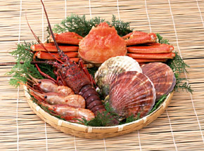 お食事