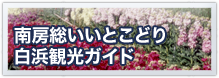 南房総いいとこどり　白浜観光ガイド